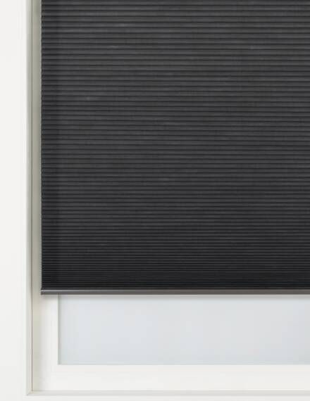 HEMA Plissé Dubbel Lichtdoorlatend/Gekleurde Achterzijde 25 Mm Antraciet(antraciet )