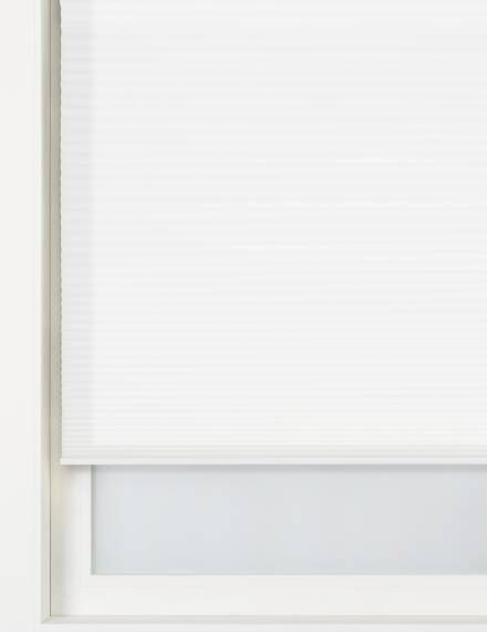 HEMA Plissé Dubbel Lichtdoorlatend/Gekleurde Achterzijde 32 Mm Wit(wit )