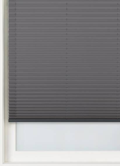HEMA Plisségordijn Glanzend Lichtdoorlatend 20 Mm Antraciet(antraciet )
