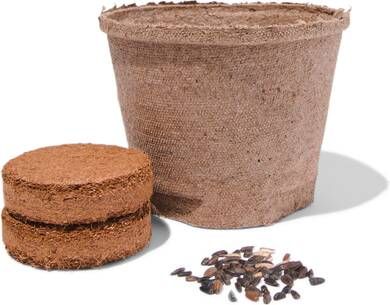 HEMA Zonnebloemen Kweekset