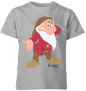 Disney Sneeuwwitje Grumpie Kinder T Shirt Grijs 146/152(11 12 jaar )